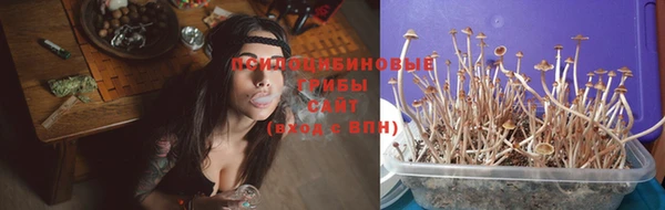 дмт Аркадак