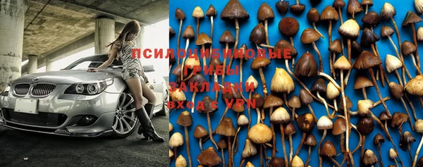 дмт Аркадак