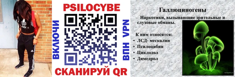 Псилоцибиновые грибы Psilocybe Пыталово